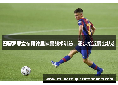 巴塞罗那宣布佩德里恢复战术训练，逐步接近复出状态